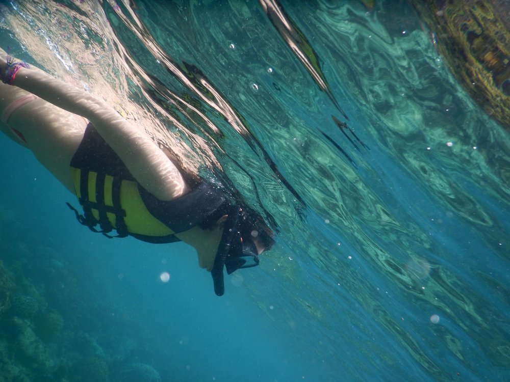  Snorkeling with jackfish 